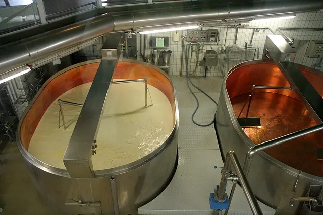 Food processing