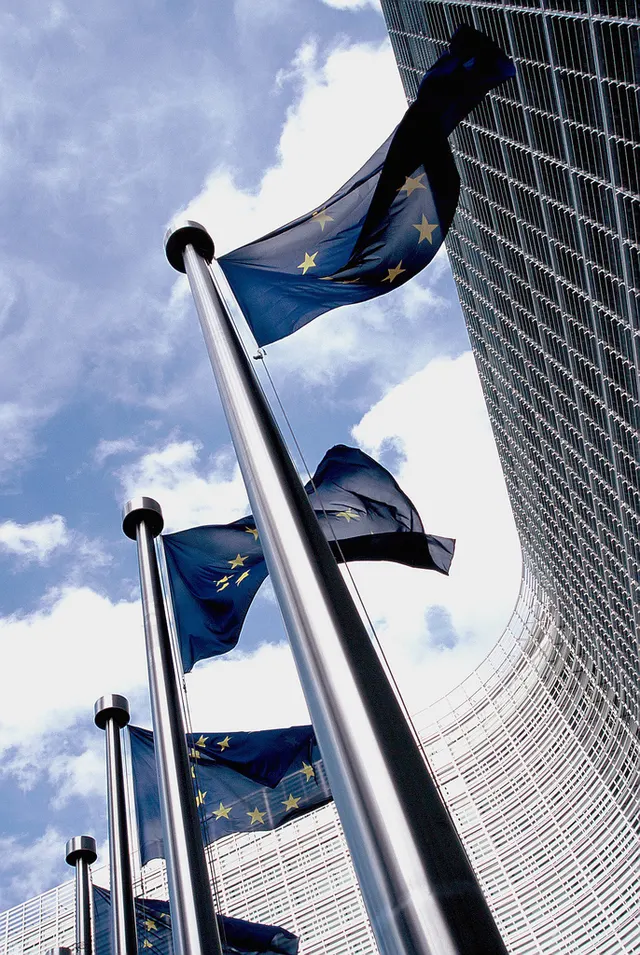 European intellectual property law