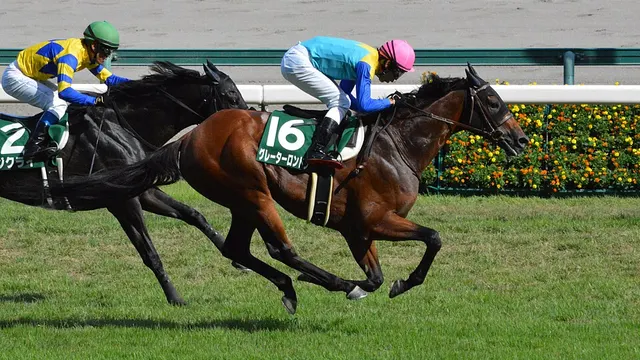 Chukyo Kinen