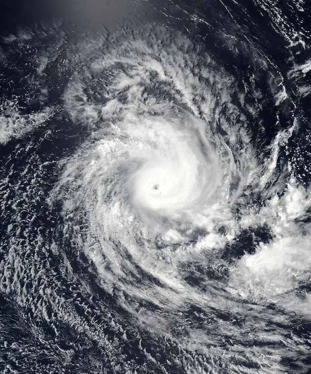 Cyclone Savannah