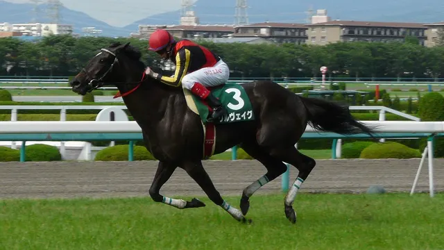 Mermaid Stakes