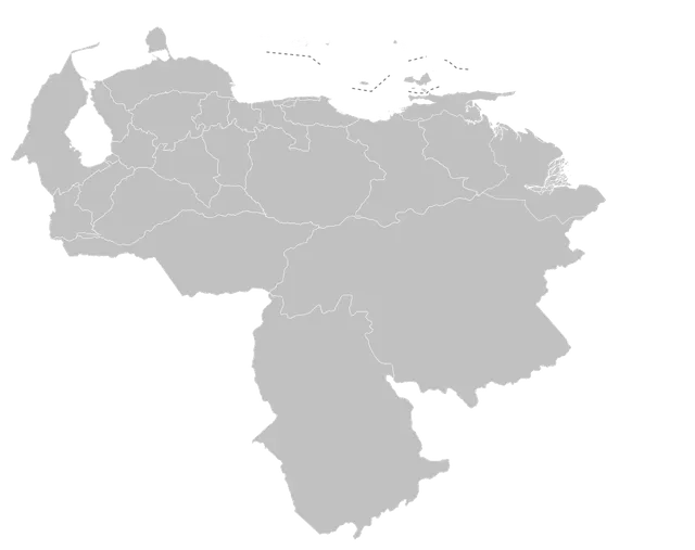 2024 Venezuelan presidential election