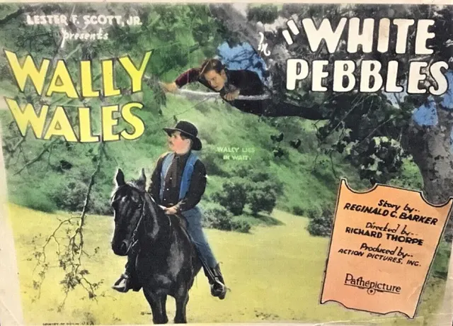 White Pebbles