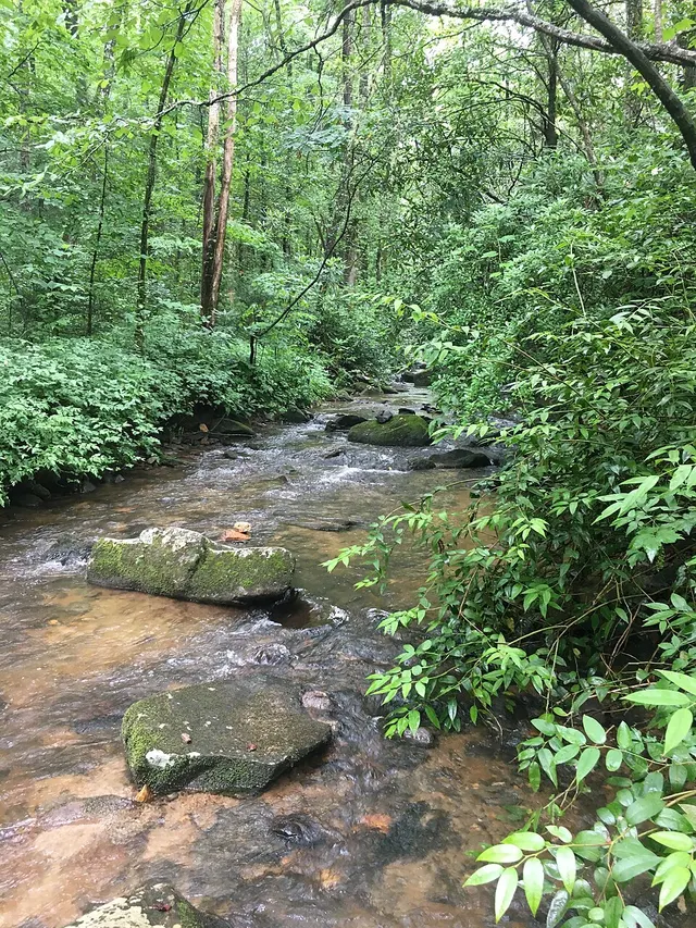 Stanley Creek