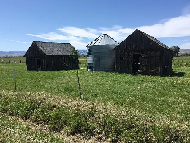 New Chicago, Montana