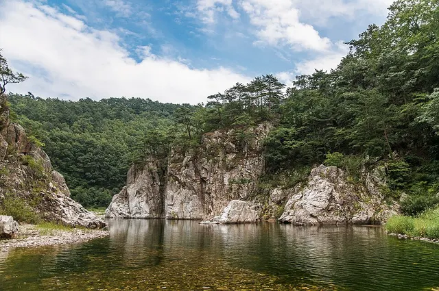 Wangpicheon