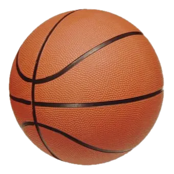 Ballon de basket-ball
