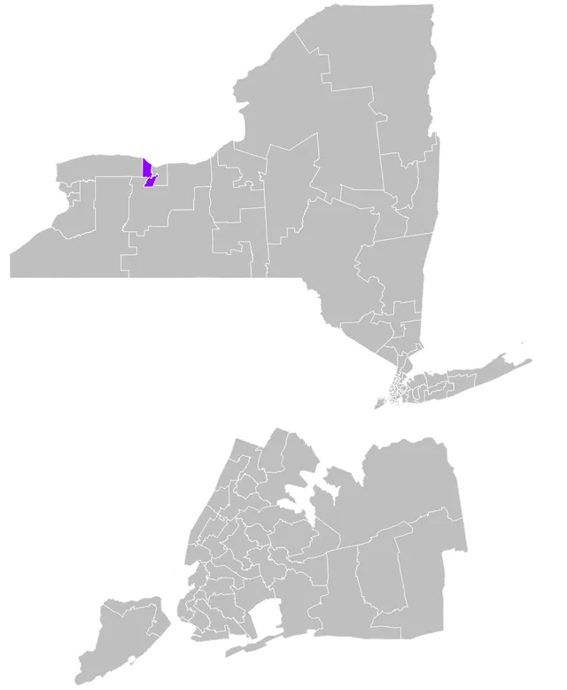 New York's 56th State Senate district
