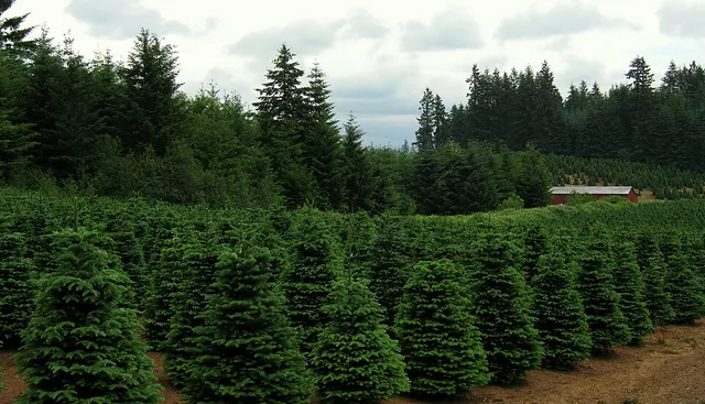 Redland, Oregon