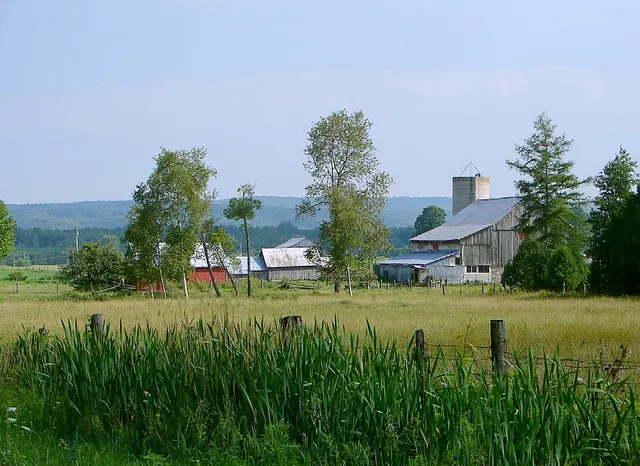 Oro-Medonte