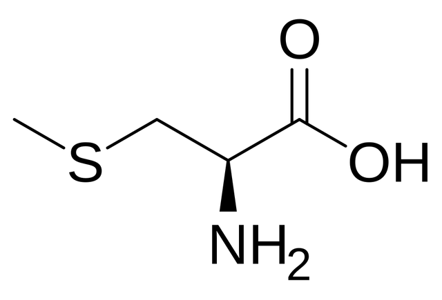 S-Methylcysteine