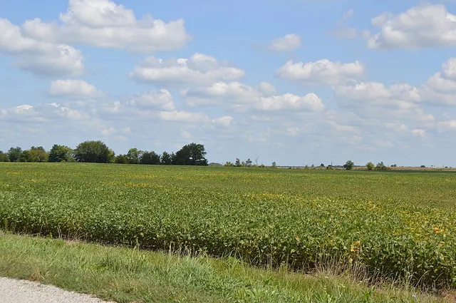 Salt Rock Township, Marion County, Ohio