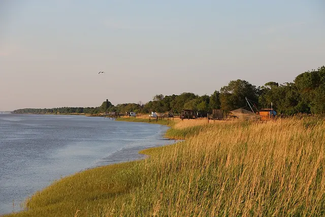 Gironde estuary and Pertuis sea Marine Nature Park