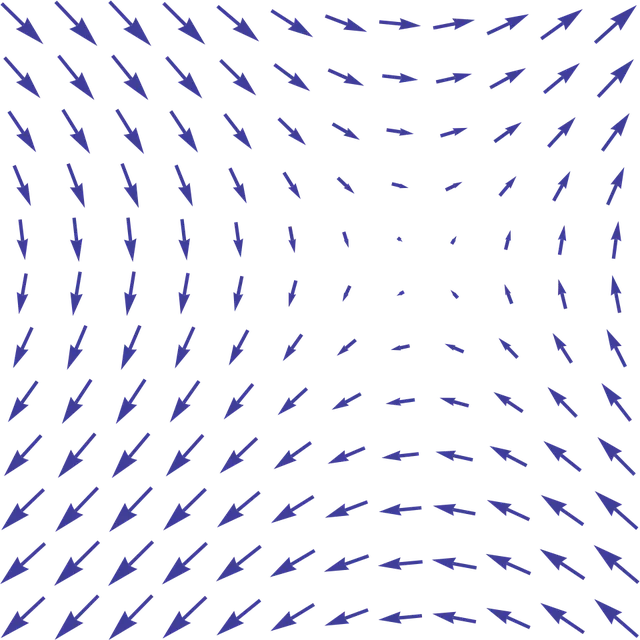 Vector field