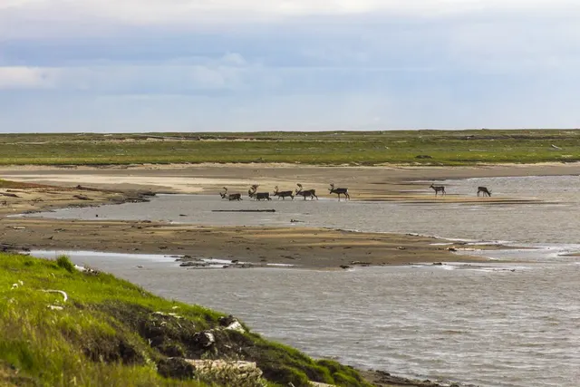 Réserve naturelle du delta de la Léna