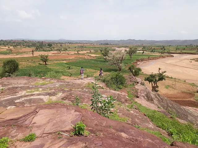 Korowya