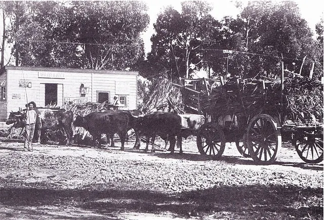 Te Kauwhata railway station