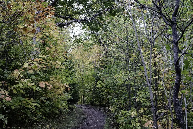 List of hiking trails in Minnesota