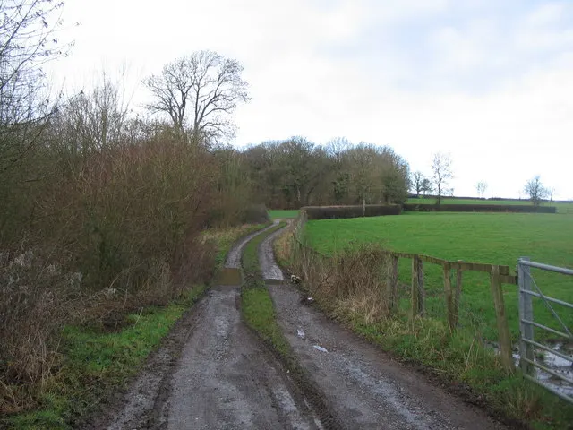 Postlebury Wood