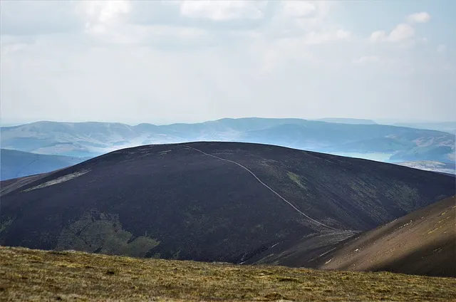 Stob Law