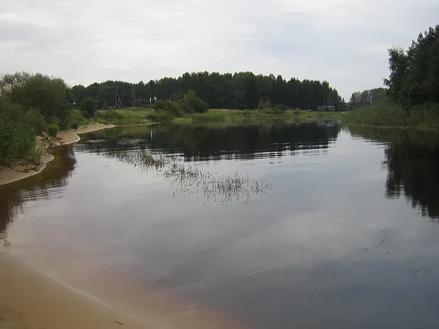 Rannapungerja