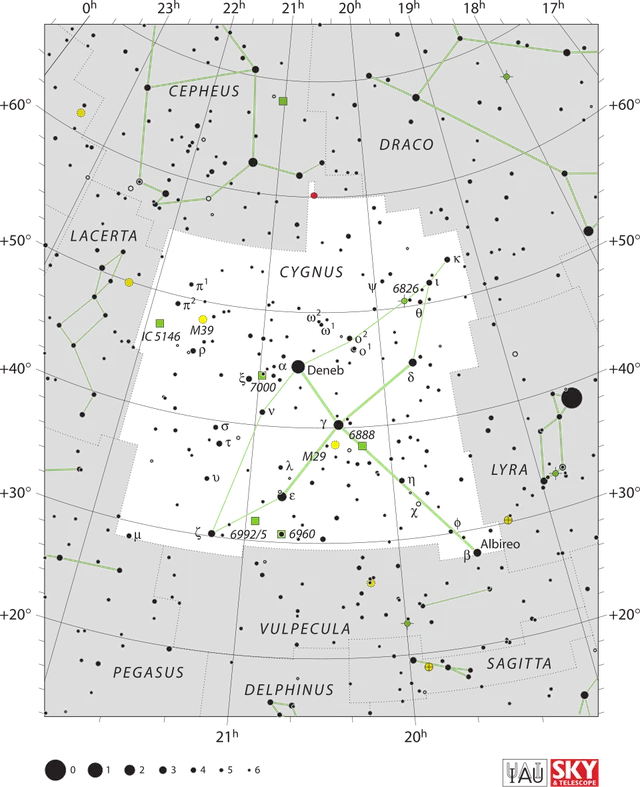 Cygnus