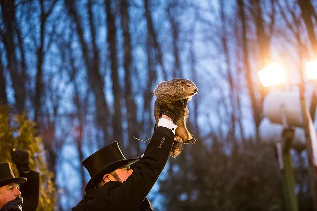 Punxsutawney Phil