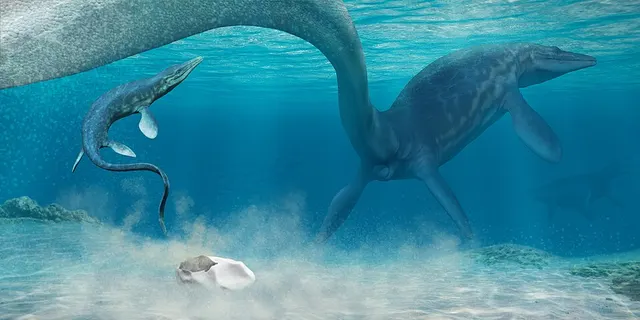 Antarcticoolithus