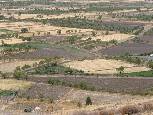Dryland farming