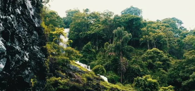 Paloor Kotta Falls