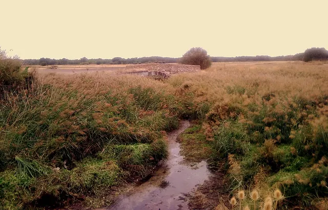 Cerquilla River
