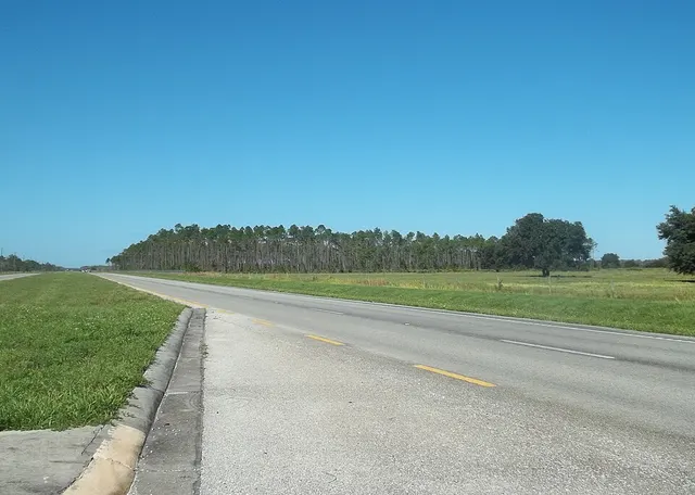 Holopaw State Forest