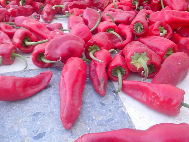 Piment baklouti