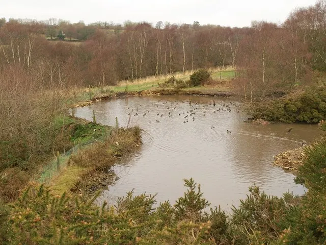 Ringdown SSSI, Somerset