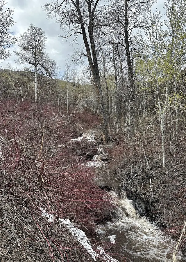 Snake Creek