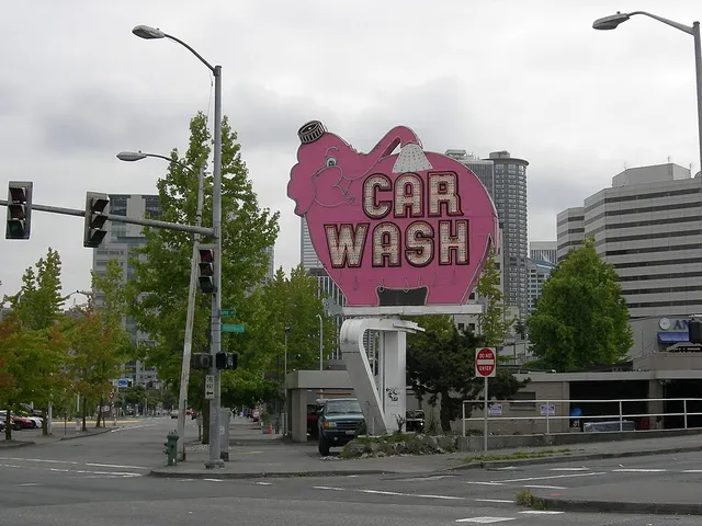 Elephant Car Wash