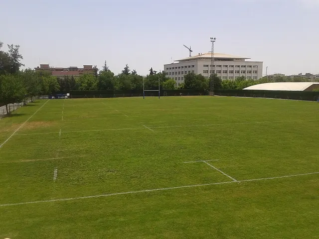 Campo de Rugby de Fuentenueva