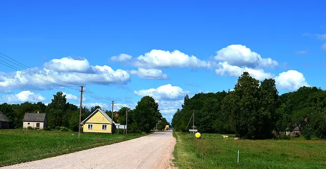 Vincentava