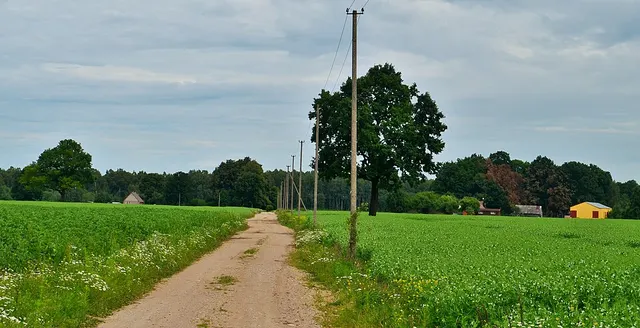 Baldinka