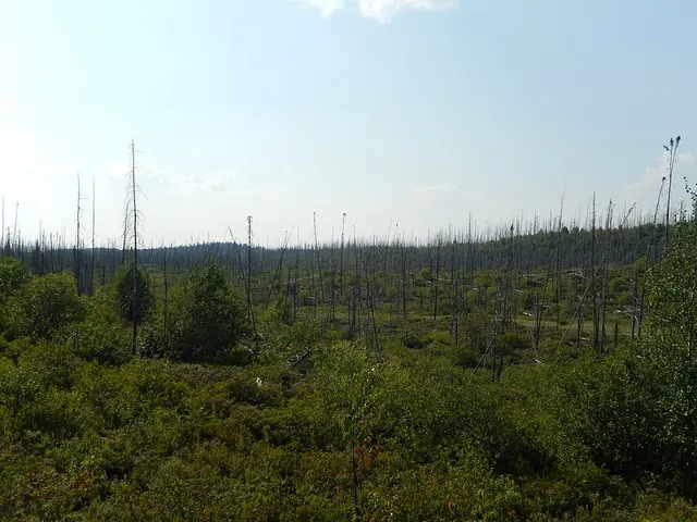 Obalski Regional Park