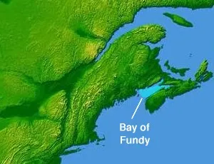 Baie de Fundy