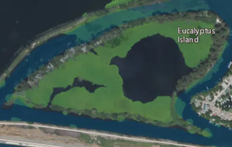 Eucalyptus Island