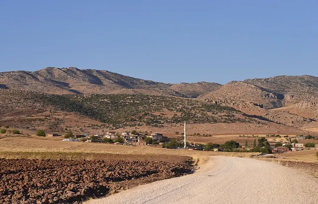 Susuz, Silvan