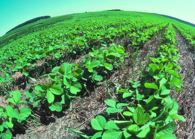 No-till farming