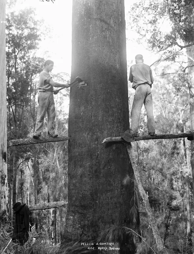 Logging