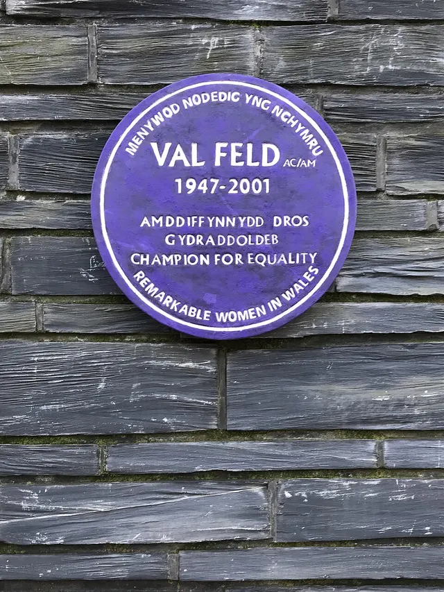 Purple Plaques