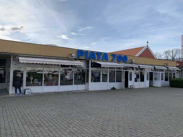 Timișoara 700 Square
