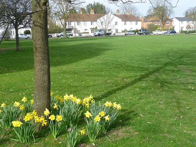 Giggs Hill Green