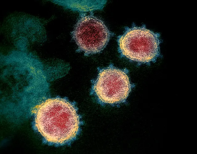 Scientific Advisory Group for the Origins of Novel Pathogens