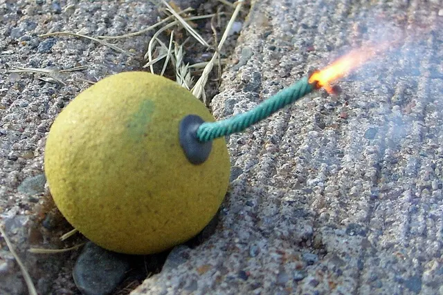 Fuse